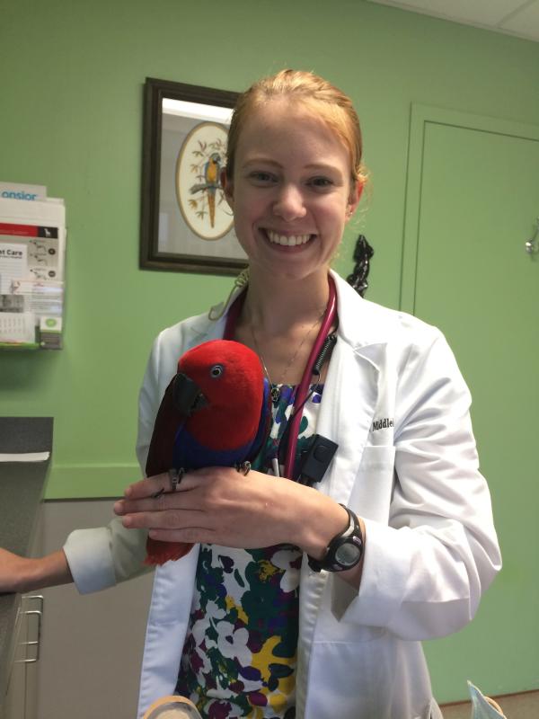 Sarah Kimbrel, Veterinarian, Partner